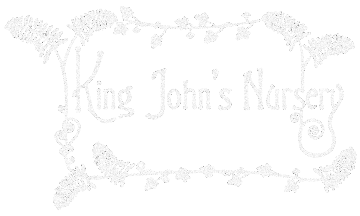 King John's nursery cafe logo