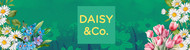 Daisy & Co - Berkhamsted